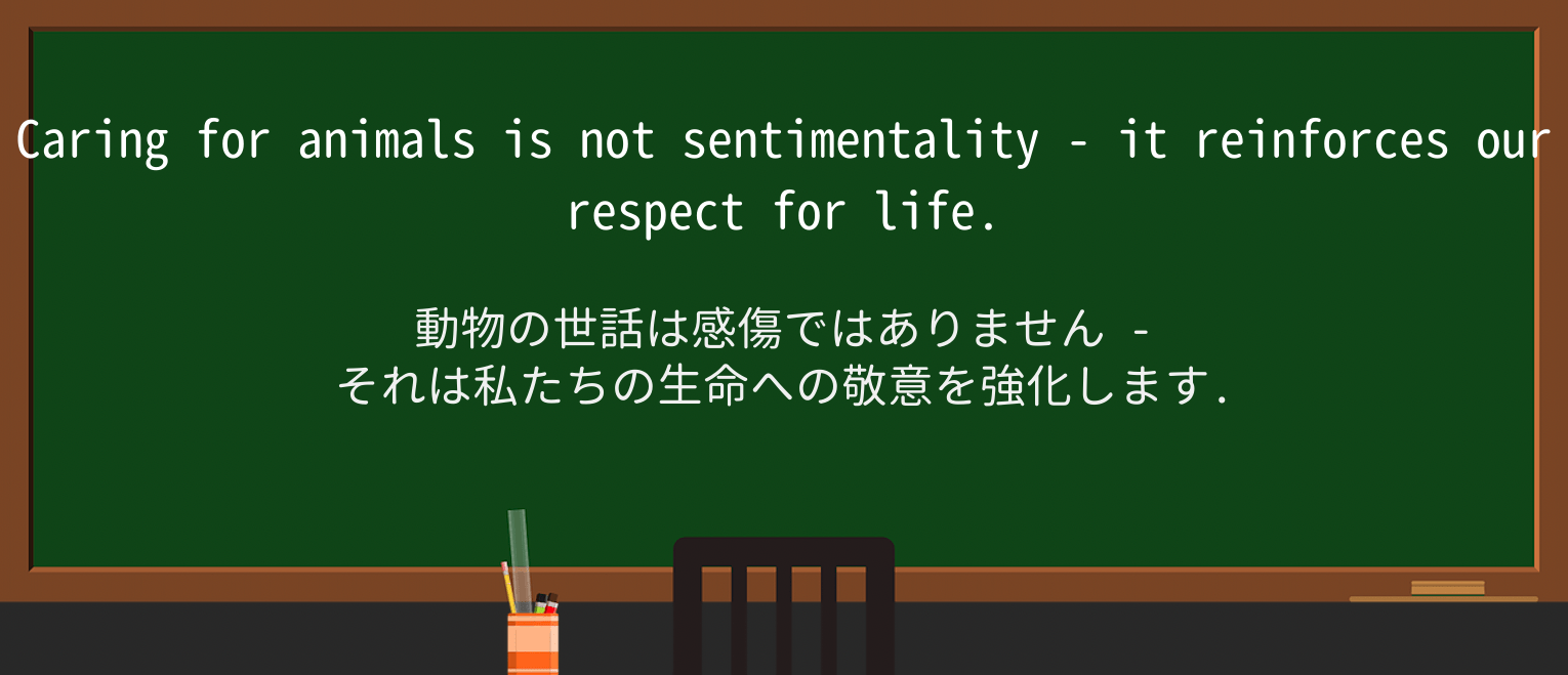 【英単語】sentimentalismを徹底解説!意味、使い方、例文、読み方 ・例文1