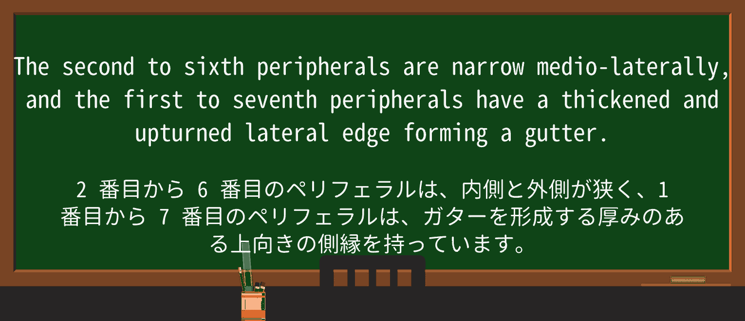 【英単語】upturnedを徹底解説!意味、使い方、例文、読み方 ・例文3