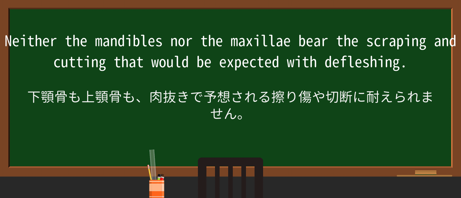 【英単語】scrapingを徹底解説!意味、使い方、例文、読み方 ・例文5
