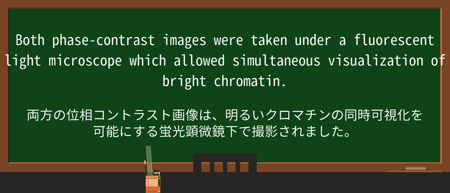 【英単語】visualizationを徹底解説!意味、使い方、例文、読み方 ・例文2