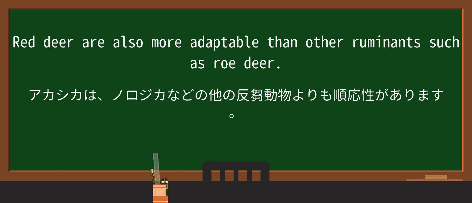 【英単語】roeを徹底解説!意味、使い方、例文、読み方 ・例文1