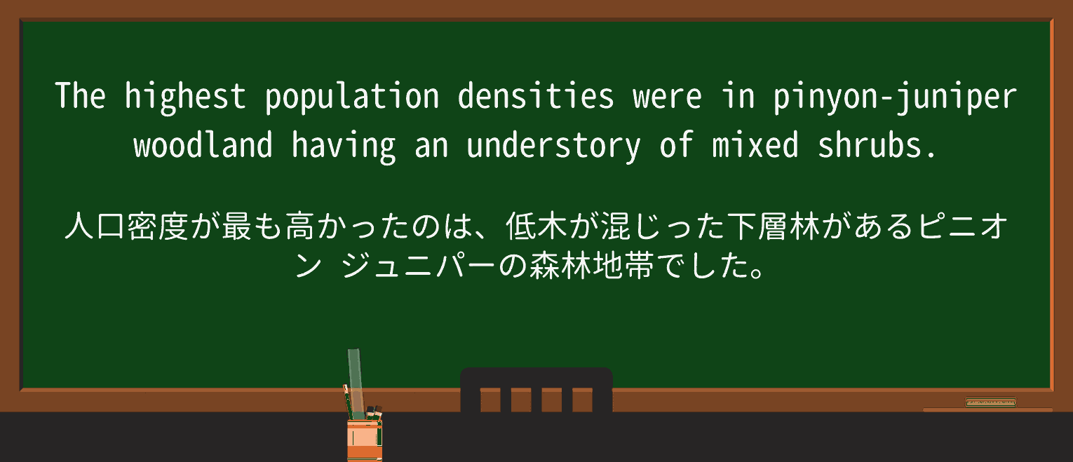 【英単語】understoryを徹底解説!意味、使い方、例文、読み方 ・例文4