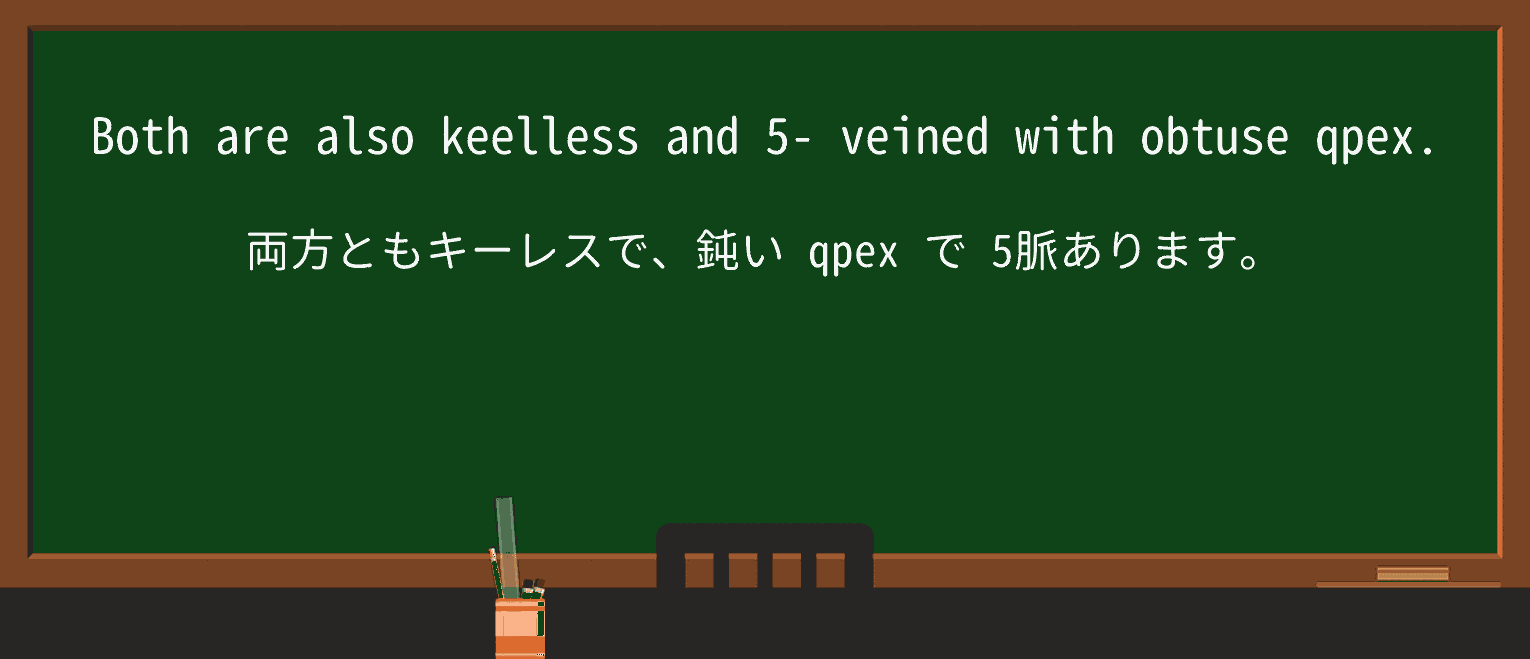 【英単語】veinedを徹底解説!意味、使い方、例文、読み方 ・例文4