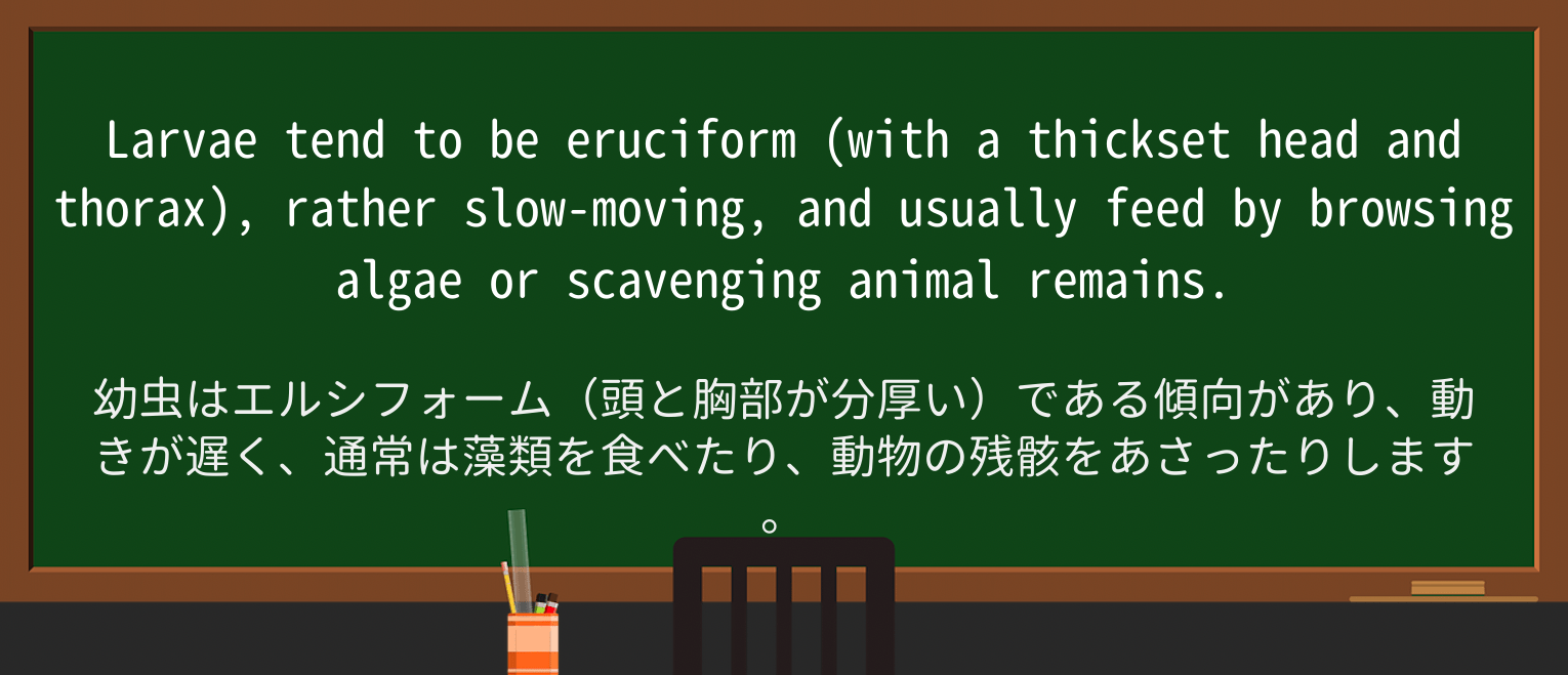 【英単語】thicksetを徹底解説!意味、使い方、例文、読み方 ・例文4