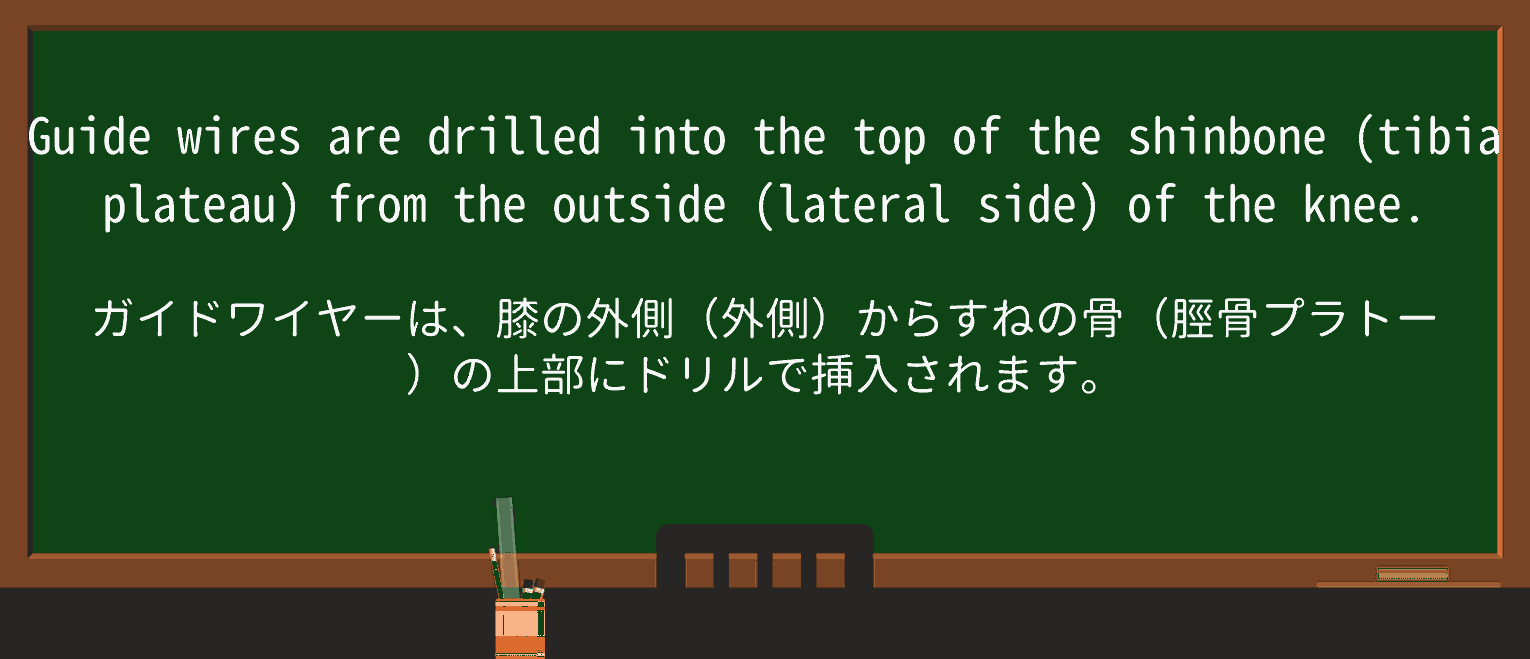 【英単語】shinboneを徹底解説!意味、使い方、例文、読み方 ・例文1