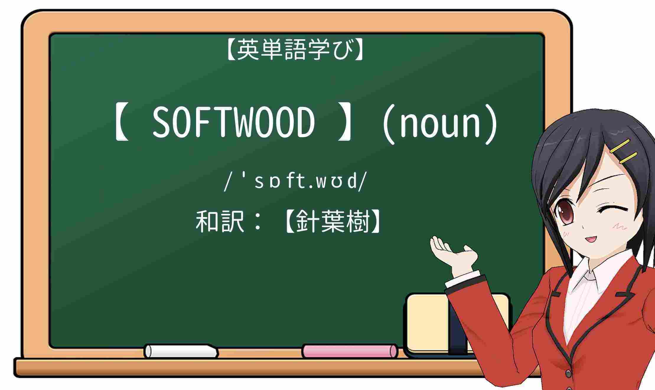 【英単語】softwoodを徹底解説!意味、使い方、例文、読み方