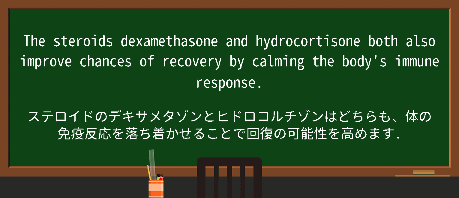 ヒドロコルチゾンEMSリーフレット