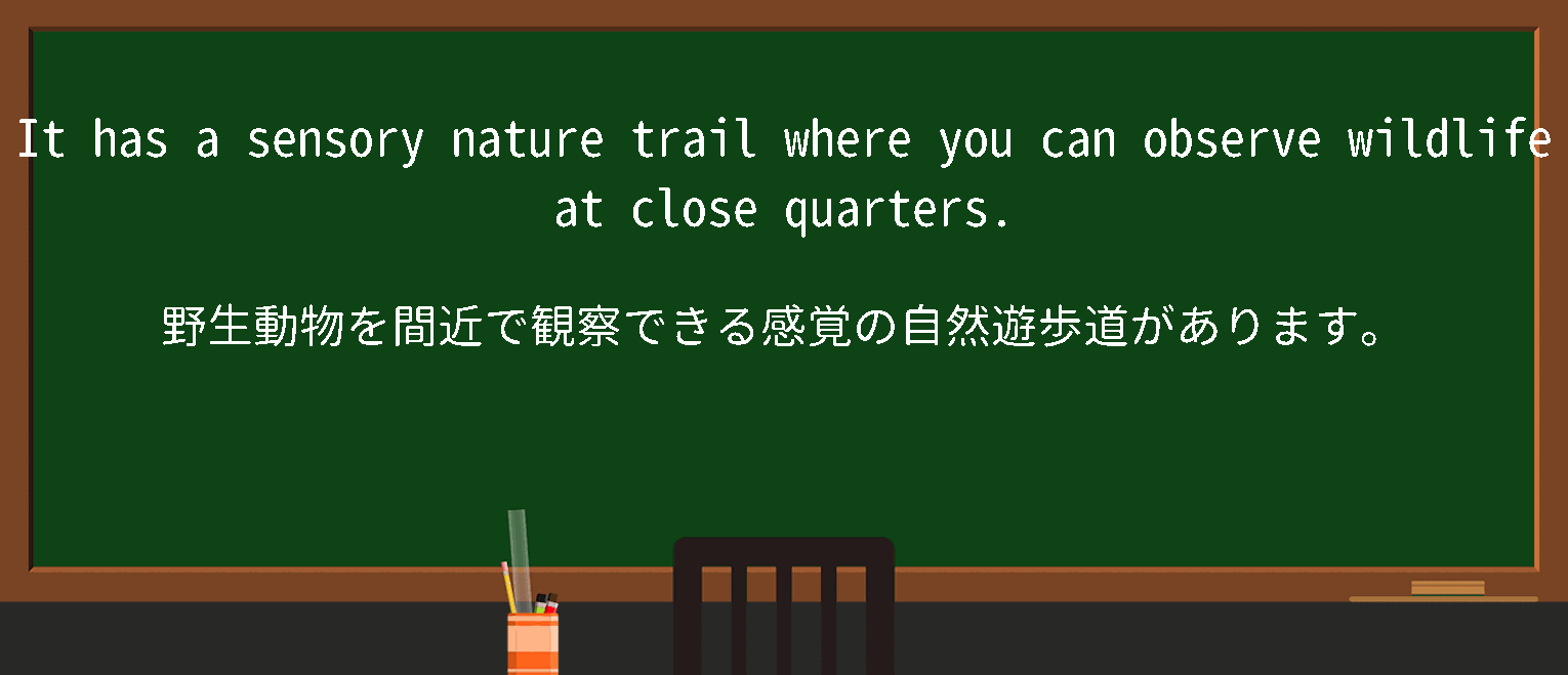 【observe wildlife】に関するの例文(英語の例文と和訳)