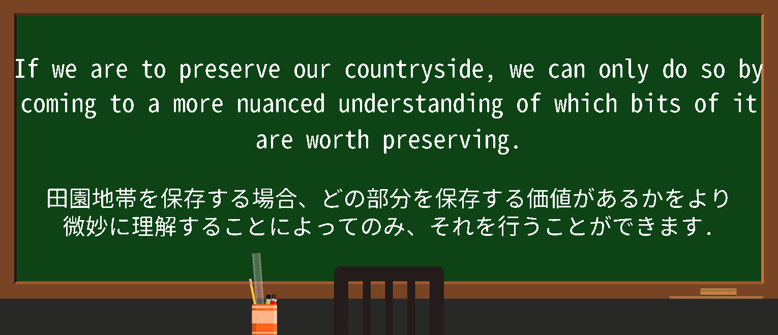 【nuanced understanding】に関するの例文(英語の例文と和訳)