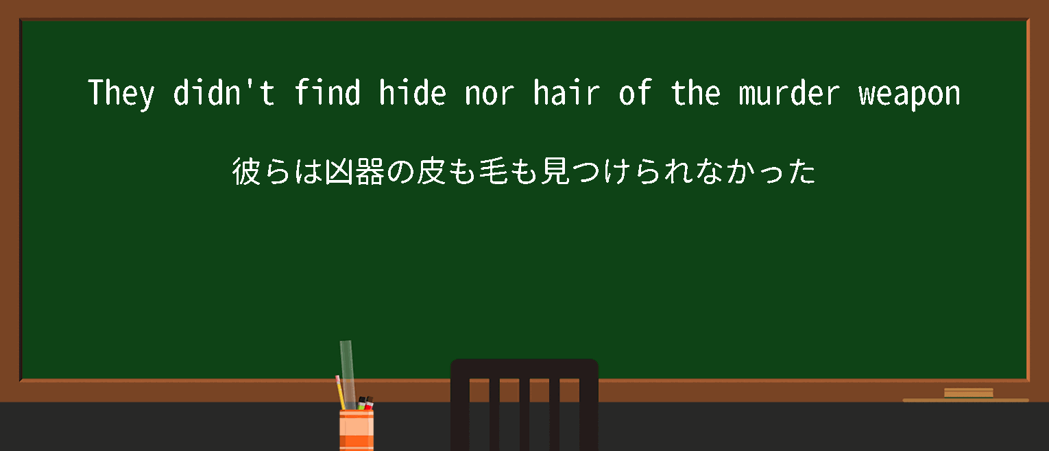 【英単語】hide nor hairを徹底解説！意味、使い方、例文、読み方