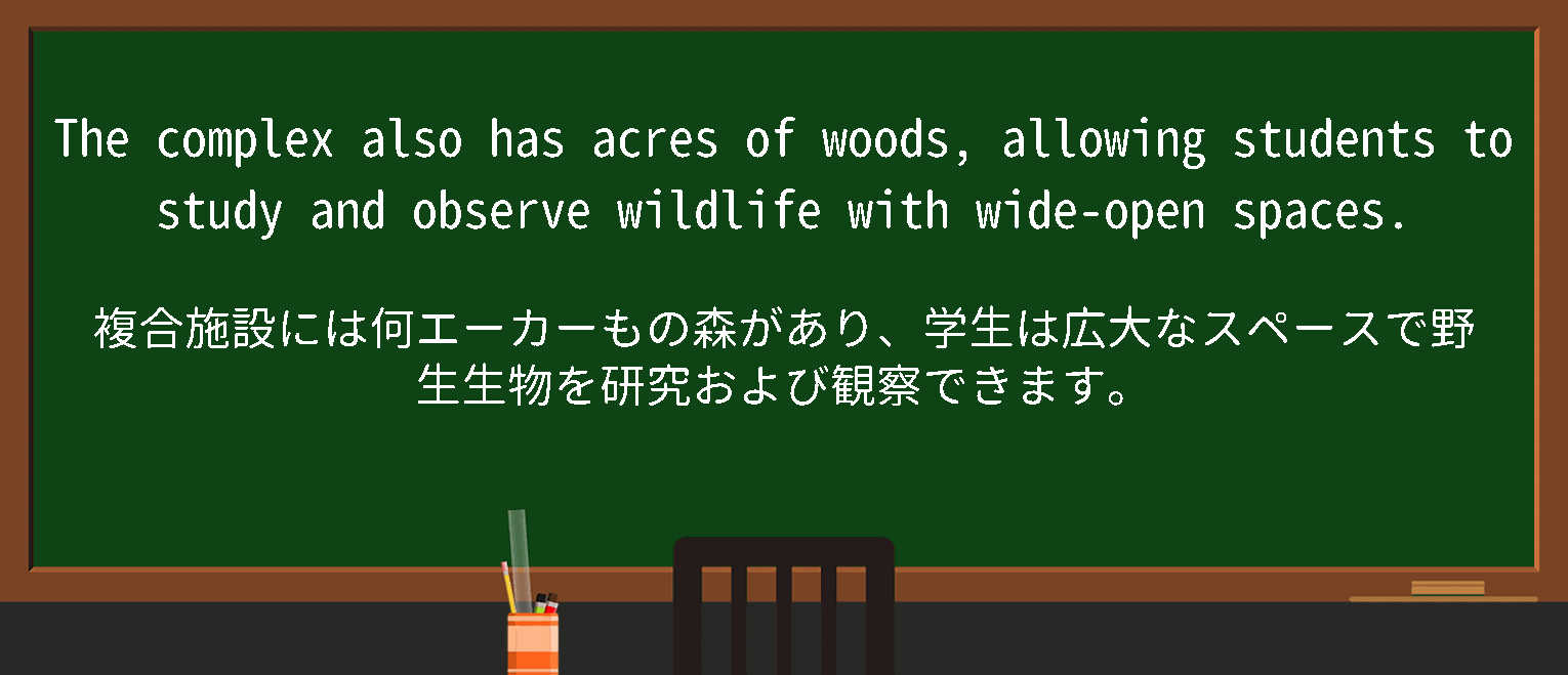 【observe wildlife】に関するの例文(英語の例文と和訳)