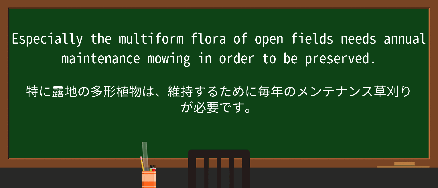 【multiform】に関するの例文(英語の例文と和訳)