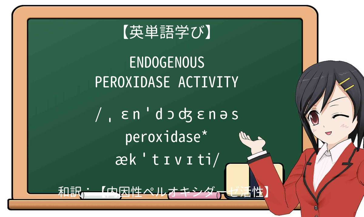 【英単語】endogenous peroxidase activityを徹底解説!意味、使い方、例文、読み方