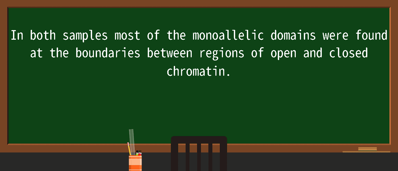 【英语单词】彻底解释“monoallelic”！ 含义、用法、例句、如何记忆