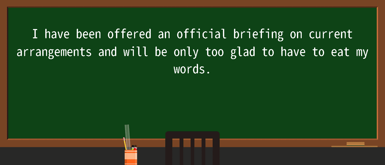 【英语单词】彻底解释“official briefing”！ 含义、用法、例句、如何记忆