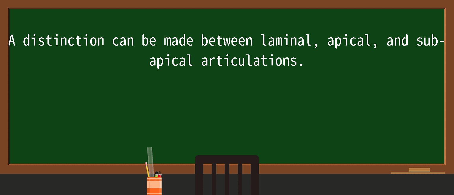 【英语单词】彻底解释“laminal”！ 含义、用法、例句、如何记忆