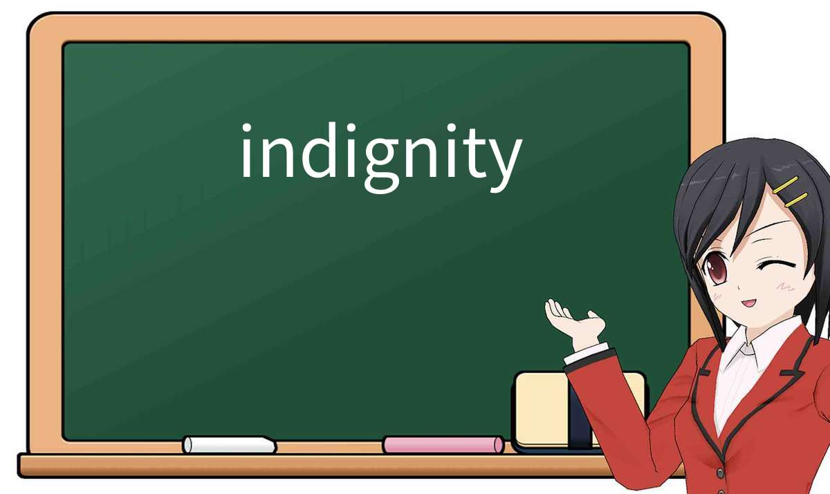 【英语单词】彻底解释“indignity”! 含义、用法、例句、如何记忆