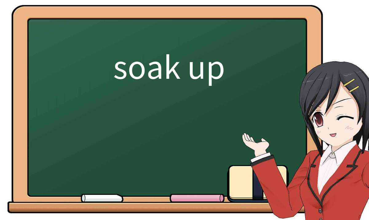 【英语单词】彻底解释“soak-up”! 含义、用法、例句、如何记忆