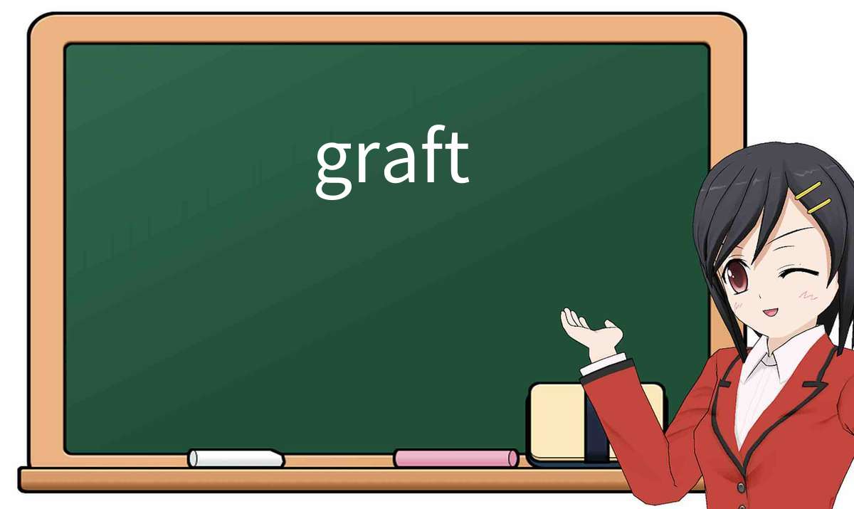 【英语单词】彻底解释“graft”! 含义、用法、例句、如何记忆