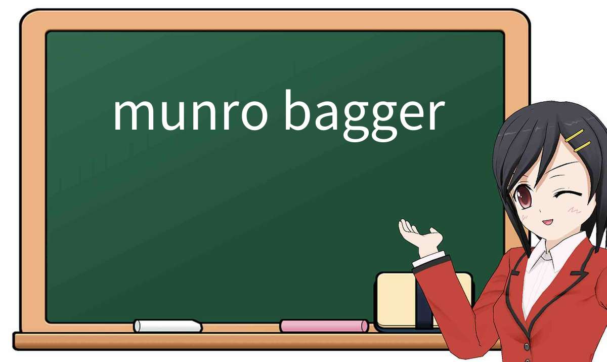【英语单词】彻底解释“munro bagger”！ 含义、用法、例句、如何记忆
