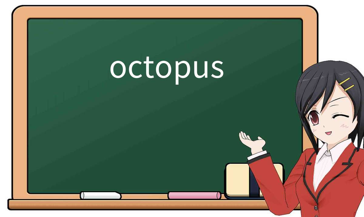 【英语单词】彻底解释“octopus”! 含义、用法、例句、如何记忆