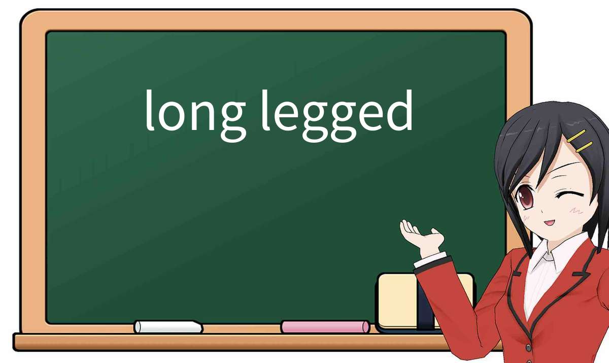【英语单词】彻底解释“long legged”! 含义、用法、例句、如何记忆